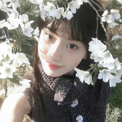 罗小黑战记2